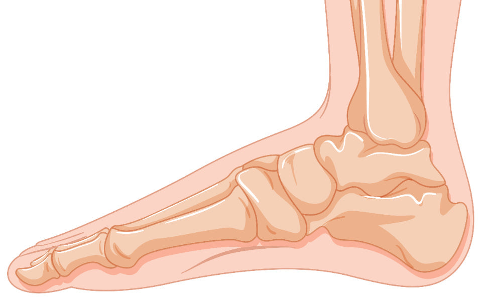 Ankle Instability