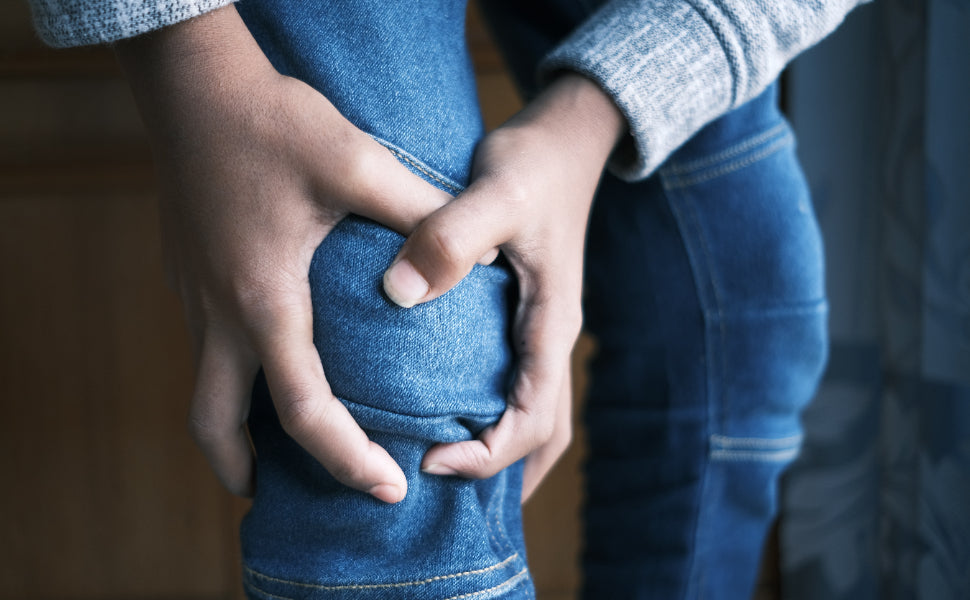 what is the meniscus in the knee