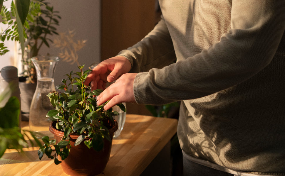 Investing in an Elbow Brace: What Makes a Durable Effective Tennis Elbow Support Last?