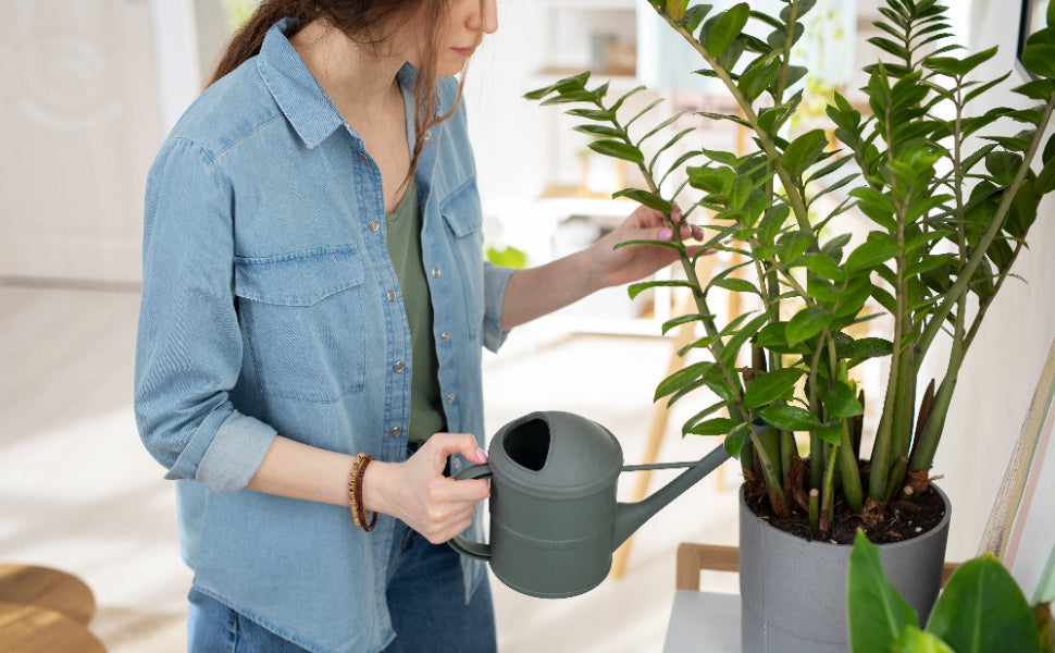 Will a Back Brace Help a Bulging Disk in L4 and L5?