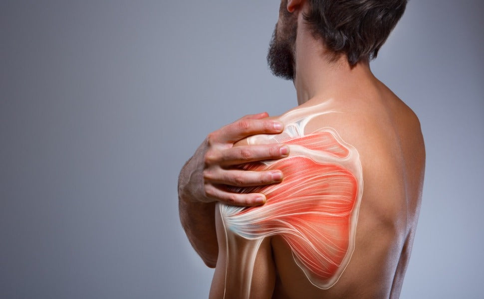 Do Shoulder Support Brace Help Shoulder Impingement