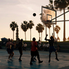 Fivali Guardians of Ankle Wellness: Fivali's Advanced Basketball Ankle Braces - News